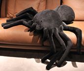 בובת עכביש 20/30 ס"מ